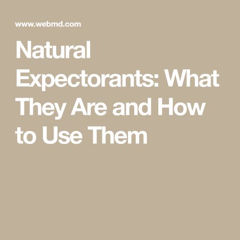 Natural Expectorants: What They Are and How to Use Them Natural Cough Expectorant, Natural Mucus Expectorant, Upper Respiratory Infection Remedies, Respiratory Infection Remedies, Cough Expectorant, Natural Expectorant, Mucus Relief, Chest Infection, Ginger Plant