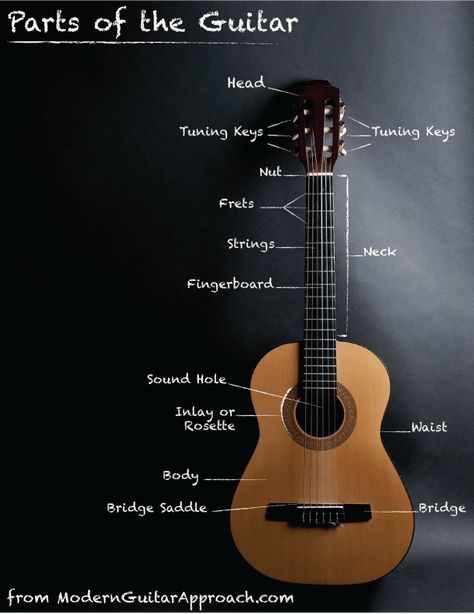 Parts Of Guitar, Parts Of A Guitar, Basic Chords Guitar, Guitar Lessons Tutorials, Guitar Tuner, Easy Guitar Tabs, Guitar Tabs Songs, Guitar Chords For Songs, Guitar Teacher