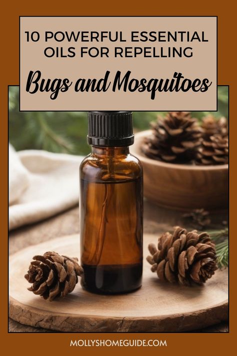 Create your own natural bug repellent with these top essential oils that repel bugs. Discover the best homemade mosquito repellent recipes using essential oils. Keep pesky bugs at bay with this DIY essential oil repellent. Say goodbye to toxic chemicals and try this non-toxic mosquito repellent made from essential oils. Learn how to make your own bug spray using the power of essential oils for bug and mosquito repellent. Protect yourself from bug bites with homemade mosquito repellent recipes th Bug Repellant Diy, Essential Oil Bug Spray Recipe, Home Made Mosquito Repellent, Homemade Mosquito Repellent, Essential Oil Bug Repellent, Mosquito Repellent Essential Oils, Insect Repellent Essential Oils, Outdoor Mosquito Repellent, Homemade Bug Repellent