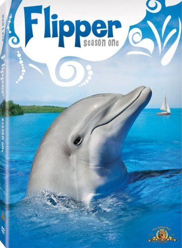 Amazon.com: Flipper - The Original Series, Season 1: Luke Halpin: Movies  TV History Queen, Strange History, Kids Series, Asian History, Viking History, Park Ranger, Marine Mammals, Classic Series, Blu Ray Discs