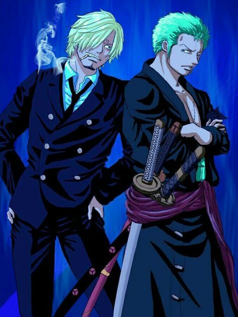 Zoro And Sanji, Anime Land, Friendship Images, Detective Conan Wallpapers, One Piece Man, One Piece Wallpaper Iphone, One Piece Funny, Zoro One Piece, Cute Cats Photos