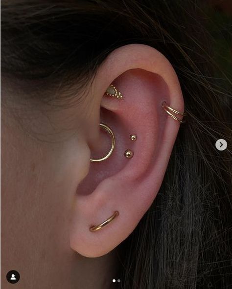 Cofc Dorm, Double Conch, Cleaning Piercings, Orbital Piercing, Different Ear Piercings, Ear Curation, Ear Cuff Piercing, Conch Piercing Jewelry, Cool Ear Piercings