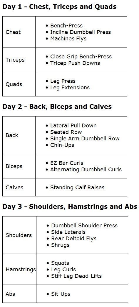 Split Workouts, 3 Day Split, Inner Leg Workout, Split Training, Weight Training Schedule, 3 Day Workout, Gym Items, Strength Training Plan, Weight Training Plan