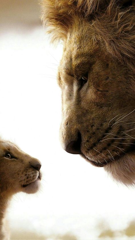 The Lion And The Lamb, The Lion King 2019, Lion King 2019, Lion And The Lamb, King Pictures, Lion King Drawings, Wild Animal Wallpaper, Lion King Pictures, Lion Photography