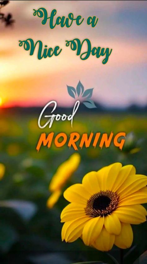 Renatus Wellness, Good Morning Dp, Thursday Good Morning Images, Friday Good Morning Images, Good Morning Hd Images, Thursday Good Morning, Friday Good Morning, New Good Morning Images, Good Morning Rose Images