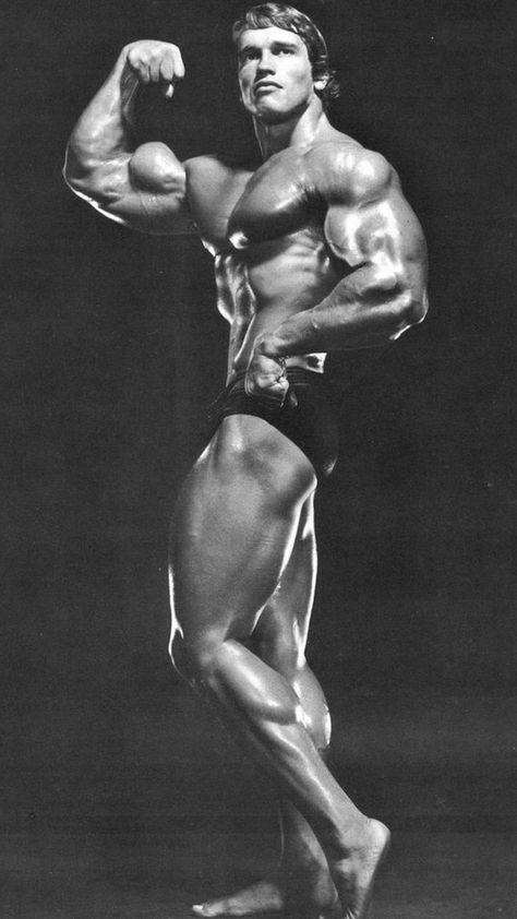 Arnold Wallpaper, Arnold Schwarzenegger Gym, Arnold Schwarzenegger Muscle, Arnold Workout, Arnold Bodybuilding, Fade Haircut Curly Hair, Arnold Schwarzenegger Bodybuilding, Schwarzenegger Bodybuilding, Gym Wallpaper