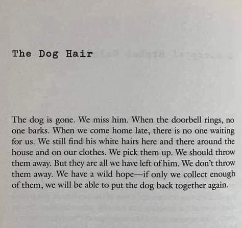 Losing An Animal Quotes, Poetry About Losing A Pet, The Dog Hair Poem, Two Headed Cow Poem, Dog Motif Poetry, Angry Dog Poetry, Dead Dog Quotes, Canine Poetry Aesthetic, Quotes About Losing A Dog