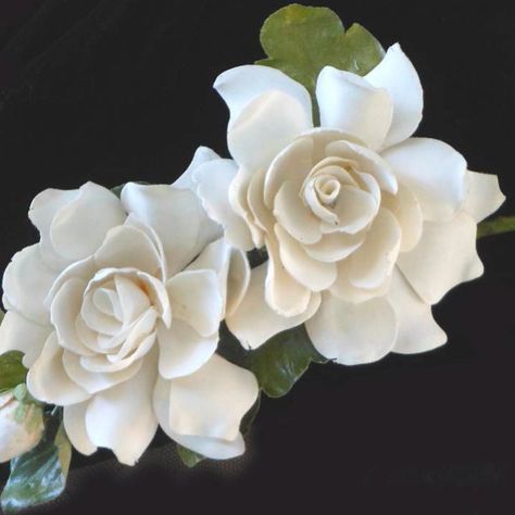 Corsage Tattoo, Gardenia Corsage, Cook Tattoo, Gardenia Tattoo, Gardenia Plant, White Gardenia, Most Beautiful Flowers, Tattoo Idea, Nanny