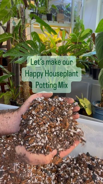 Chunky Potting Soil, House Plant Soil Recipe, Best Soil Mix For Indoor Plants, Houseplant Soil Mixture, Indoor Plant Soil Mixture, Soil Mix For Indoor Plants, Small Farm Garden, Diy For Mom, Pothos Plant Care