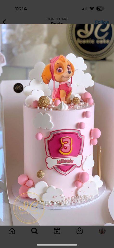 Skye Paw Patrol Cake 3rd Birthday, Pink Skye Paw Patrol Cake, Skye Paw Patrol Cake Diy, Sky Birthday Party Paw Patrol Cake, Sky Paw Patrol Cake Ideas, Girly Paw Patrol Cake, Paw Patrol Birthday Cake Skye, Cake Patrol Paw, Skye Paw Patrol Cake Ideas