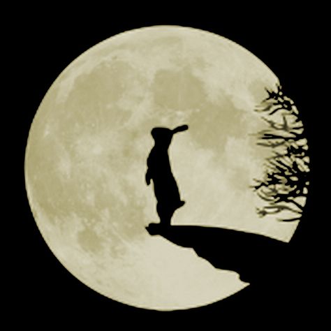 Bunny Moon Courtesy of Shisedodojo.com Hare Moon, Moon Gazing Hares, Rabbit Art, Bunny Art, Art Et Illustration, Moon Art, Pics Art, Cute Bunny, Bunny Rabbit