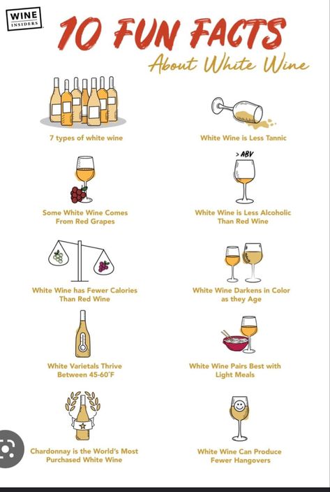 Wine Vocabulary, Wine Etiquette, Types Of White Wine, Wine Benefits, Wine Basics, Wine Chart, Wine Facts, 10 Fun Facts, Wine Variety