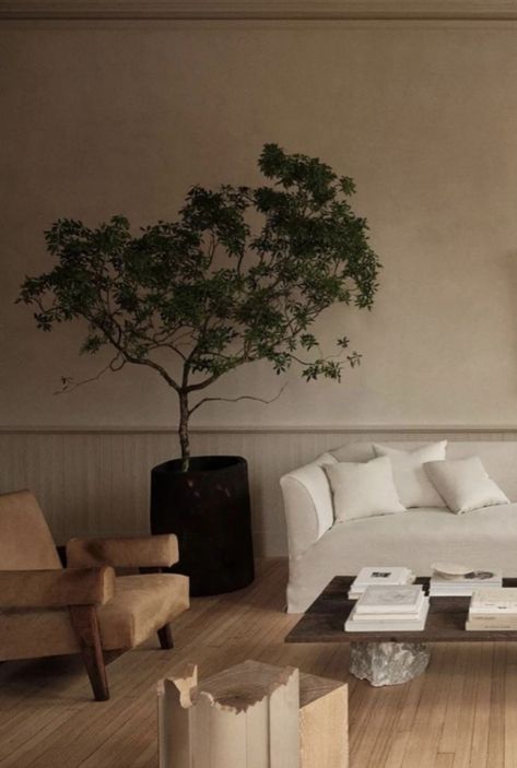 Indoor tree Living Room Trees, Trees In Bedroom, Dream Appartement, Tree In Living Room, Best Indoor Trees, Dates Tree, Tree Interior, Wallpaper Boho, Indoor Tree