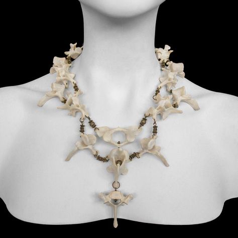 Artist Kristin Bunyard has combined her passion for fashion and dissection into a unique art form - animal bone jewelry. Her collection, Ossuaria, is designed for people with an eccentric side Animal Bone Jewelry, Bone Crafts, Bone Art, Bone Jewelry, Animal Bones, Skull And Bones, Jewelry Inspo, Skull Art, Taxidermy