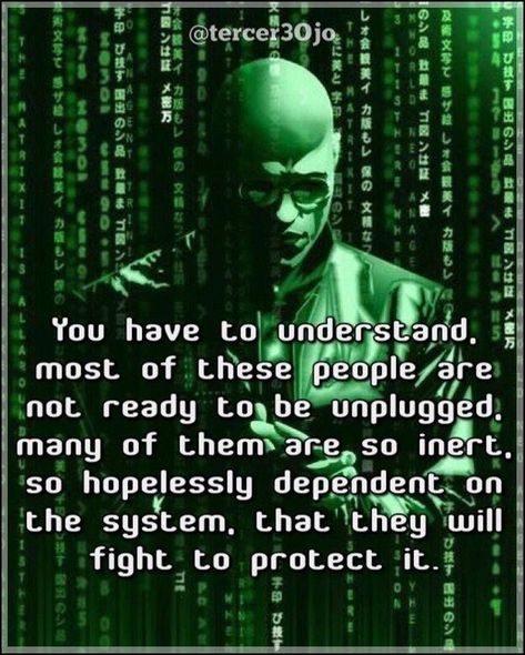 Matrix Quotes, Keanu Reeves Quotes, Habit Stacking, Picture Quote, Neon Words, Stoic Quotes, Awakening Quotes, Spiritual Truth, Free Mind