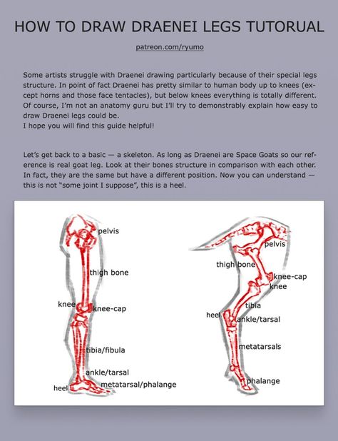 "How to draw Draenei legs"(1) by Ryumo Art Unguligrade Legs Drawing, Demi Human, Human Anatomy, Art Tutorial, Character Design References, Design Reference, Art Tutorials, Anatomy, To Draw