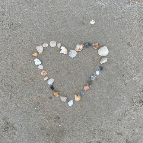 heart, shells, beach, beach pictures, mermaid core Shells Beach, Mermaid Core, Shell Beach, Beach Pictures, Shells, Mermaid