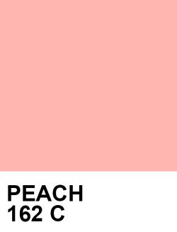 Pantone Palette, Pantone Colour Palettes, Peach Aesthetic, Just Peachy, Colour Board, Color Stories, Color Textures, Colour Schemes, Color Pallets