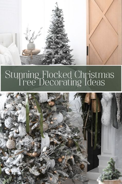 Want a winter wonderland this December? Learn how to easily flock your own tree and also use these flocked Christmas tree decorating ideas. Flocked Christmas Tree 2024, Elegant Flocked Christmas Trees Decorated, Frosted Christmas Tree Decorations Ideas, Decorating Flocked Christmas Tree Ideas, Flocked Christmas Tree With White Decor, Christmas Tree Themes Flocked, Neutral Flocked Christmas Tree Decor, Flocked Tree With Gold And Silver, Downswept Flocked Christmas Tree