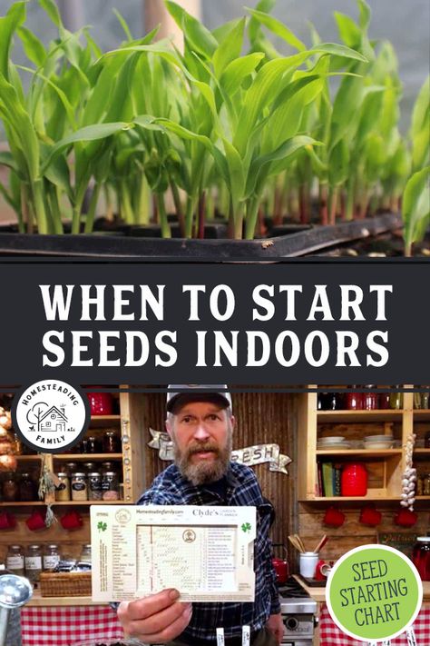 Seed Starting Chart, Seed Starting Indoors, When To Start Seeds Indoors, Seed Starting Calendar, When To Start Seeds, Starting Seeds Inside, Starting Vegetable Seeds, Homesteading Family, Vegetable Chart