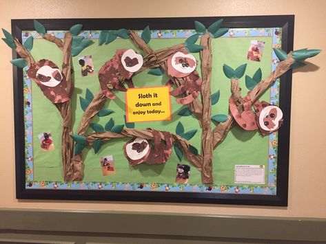 Sloths Sloth Bulletin Board Ideas, Sloth Classroom Theme, Sloth Bulletin Board, Sloth Room, Sloth Craft, Toddler Bulletin Boards, Dorm Bulletin Boards, Farm Classroom, Library Decorations