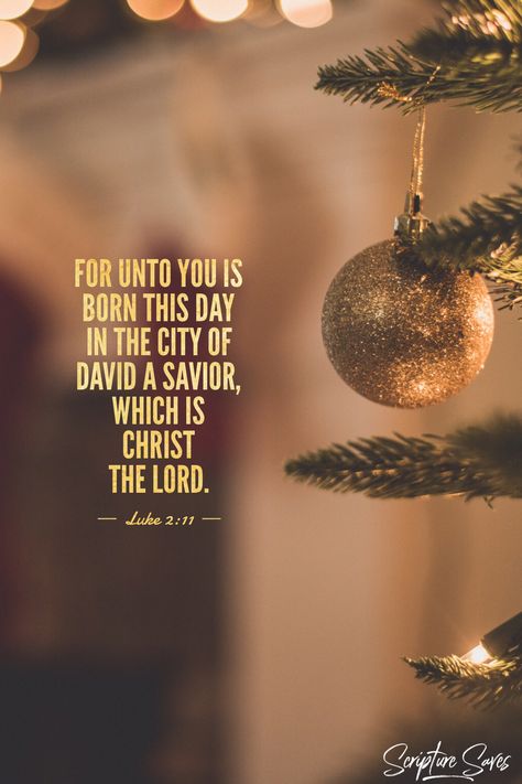 Putting Christ Into Christmas: Christmas isn’t just another holiday... it’s the birth of your SAVIOR! Don’t let others celebrate Christmas without knowing the true meaning of Christmas! Christmas Day Quotes Inspirational, Godly Christmas Message, Best Christmas Bible Verses, Christmas Blessings Quotes Jesus, Merry Christmas With Bible Verse, Christmas Wishes With Bible Verse, Christian Christmas Quotes, Christmas Quotes Jesus, True Meaning Of Christmas Quotes Jesus