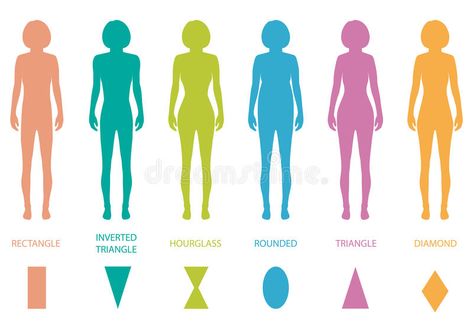 Illustration about Female body types anatomy,woman front figure shape, vector silhouette. Illustration of pear, graphic, rectangle - 51340972 Female Body Types, Type Anatomy, Types Of Body Shapes, Hourglass Body Shape, Body Types Women, Shading Techniques, Figure Reference, Star Wars Women, Body Figure