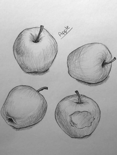 I was eating an apple when I decided to sketch different angles of the object in front of me. Objects In Different Angles, Proportions Drawing Objects, Object From Different Angles, Random Objects Drawing Reference, Apple Drawing Reference, Sketches Objects, Perspective Objects, Object Perspective, Apple Reference