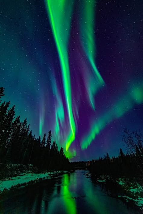 Chena slough North Pole North Pole Lights, North Pole Painting, Wallpaper Backgrounds Night, North Pole Aesthetic, Aesthetic Northern Lights, Colourful Scenery, Night Sky Aesthetic, Wallpaper Scenery, Northern Lights Art