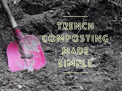 how to trench compost Making Compost, Garden Cloche, Vegetable Beds Raised, How To Make Compost, Portable Garden, Planting Onions, Composting At Home, Garden Stand, Garden Compost