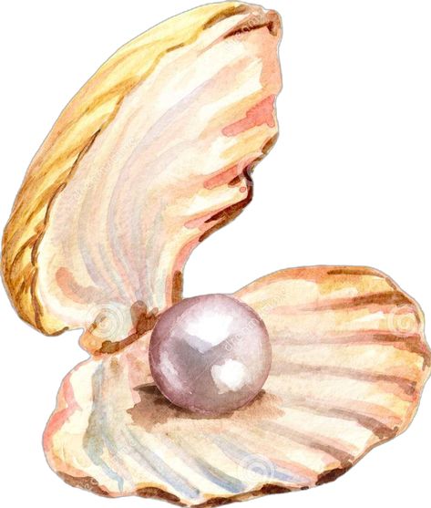 Pearl Oil Painting, Painting Of Jewelry, Pearl Watercolor Painting, Pearl Illustration, Watercolor Pearl, Clam With Pearl, Seashell Watercolor, Pearl Painting, Watercolor Gem