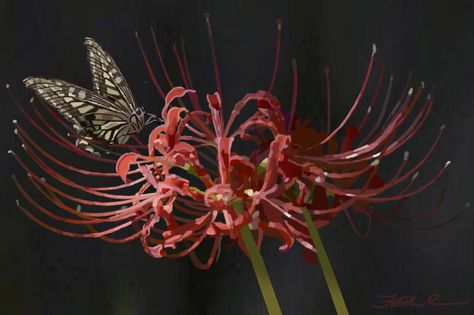 Demon Slayer Spider, Spider Lilies, Red Spider Lily, Spider Lily, Red Spider, Animal Tracks, Interesting Animals, In Full Bloom, Butterfly Art