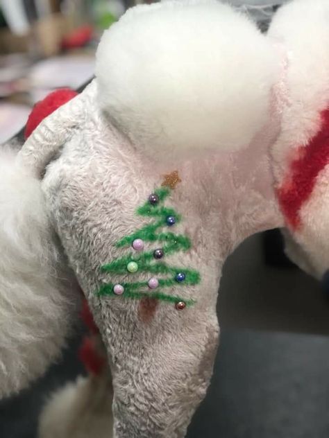 Christmas Dog Grooming, Creative Dog Grooming Christmas, Christmas Dog Hair Dye, Christmas Creative Grooming, Poodle Puppy Cut, Standard Poodle Haircuts, Dog Room Design, Honey Ideas, Dog Hair Dye