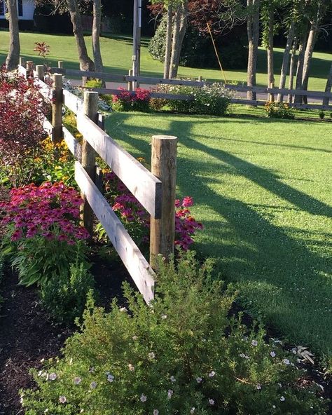 UsaDreamGarden on Instagram: “📬📬📬📨Direct Contact Me For Advertising Your Product Or Build Up Your Followers .⠀ . Summer day fence . . . . #garden #mygarden #gardening…” Fence By Driveway, Front Yard Landscaping Country, Front Yard And Driveway Ideas, Front Yard Fencing Ideas Curb Appeal, Farm Curb Appeal, Deck Across Front Of House, Wood Fence Landscape Ideas, Split Rail Fence Landscaping Front Yards, Country Home Landscaping Ideas