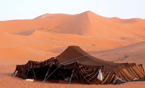 bedouin tent - Google zoeken Tent Photography, Bedouin Tent, Under The Rain, Bible Coloring Pages, Diy Event, Wadi Rum, Event Tent, Bible Coloring, The Desert