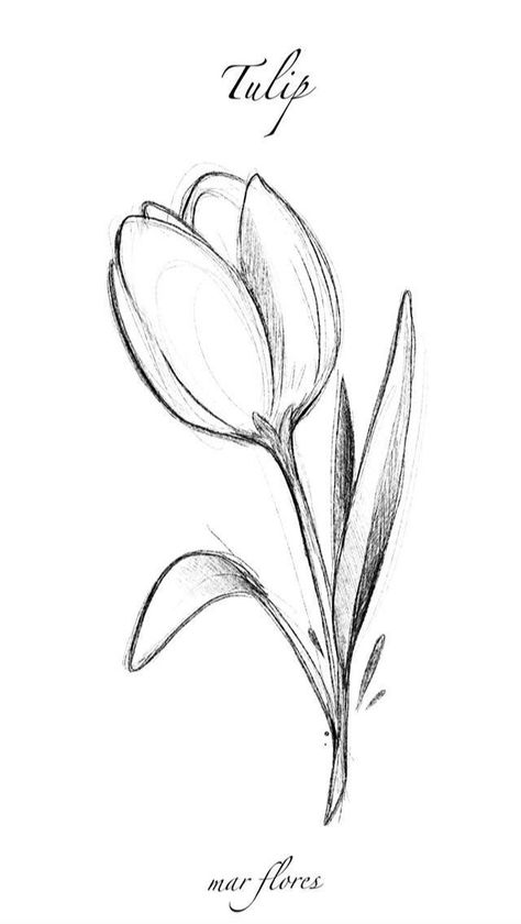 Minimalist tattoos are all the rage right now, and for good reason. They're simple, stylish, and can be customized to fit any personality. Check out these ! . #Sketch_Flowers_Step_By_Step #Animal_Easy_Sketches #Easy_Pencil_Drawings_Of_Flowers_Sketches #Easy_Drawings_Flowers_Simple Tulip Drawing, Tulip Tattoo, Tattoo Design Book, Pencil Drawings Easy, Minimalist Tattoos, Flower Sketches, Custom Tattoo Design, Sketches Simple, Car Hacks