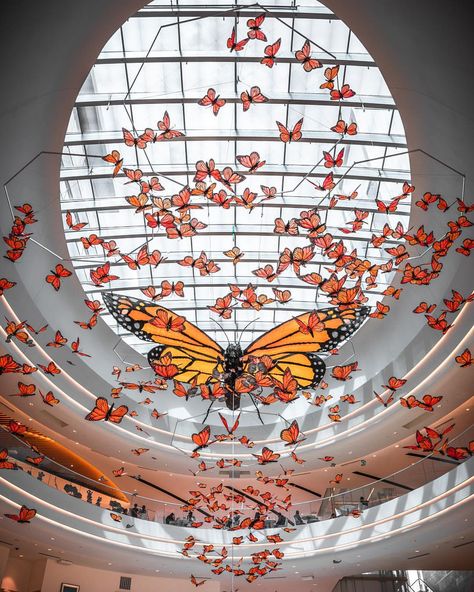 MOA Mall of America North Atrium, Butterfly art exhibit 2019, Bloomington Minnesota Butterfly Exhibition, Butterfly Concept, Butterfly Museum, Bloomington Minnesota, Butterfly Exhibit, Minnesota Photography, Art Shopping, Museum Exhibit, Photographer Inspiration