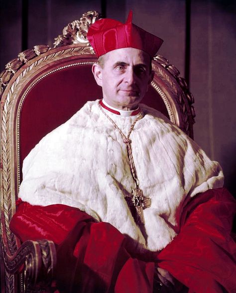 Pope Paul VI Pope Pius X, Bento Xvi, Ecclesiastical Vestments, Pope Leo Xiii, Traditional Catholicism, Roman Church, Friend Of God, Pope Leo, Lion Family