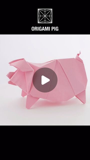 Origami Pig, Pig Gif, April 4, Passion Flower, Origami Easy, Origami, Craft Ideas, Paper Crafts, On Instagram