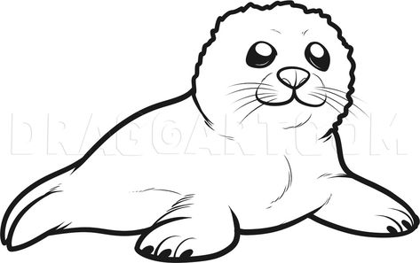 Snowman Crafts Preschool, Fish Coloring, Fish Coloring Page, Seal Pup, Baby Seal, A Seal, Drawing Guide, Baby Drawing, Anime Version