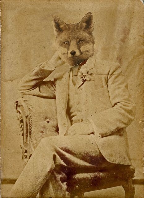 Fox Man | Flickr - Photo Sharing! Vintage Animal Photos, Creepy Animals, Fox Character, Fantastic Fox, Fox Man, Tintype Photos, Fantastic Mr Fox, Surreal Photos, Animals Friendship