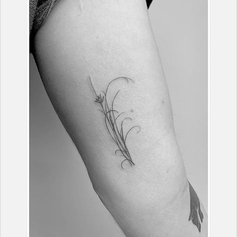 REED AND FLOWER #reedflower #flower #reed #singleneedle #singleneedle #tattooedgirls #tattoosofinstagram #finelinetattoo Reed Tattoo, Horsetail Reed, Tattoos Fish, Skin Doodles, Sister Tats, Fineline Tattoos, Fine Line Tattoos, Line Tattoos, Simple Tattoos