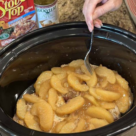 Adding apples to the top of pork chops in a crockpot. Apple In Crockpot, Pork Chops With Apple Sauce, Pork Chops In A Crockpot, Pork Chops With Apples And Cranberries, Pork Chop Apple Recipes Crockpot, Apple Pie Pork Chops Crock Pot, Slow Cooker Apple Pork Chops, Baked Pork Chops With Apples And Onions, Pork Chops With Stove Top Stuffing Crock Pot