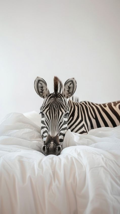 Tiger wildlife animal blanket. | Free Photo - rawpixel Zebra Aesthetic Wallpaper, Zebra Wallpaper Aesthetic, Zebra Aesthetic, Wallpaper Background Aesthetic, Zebra Wallpaper, Cute Furniture, Animal Blanket, Background Aesthetic, Wildlife Animals