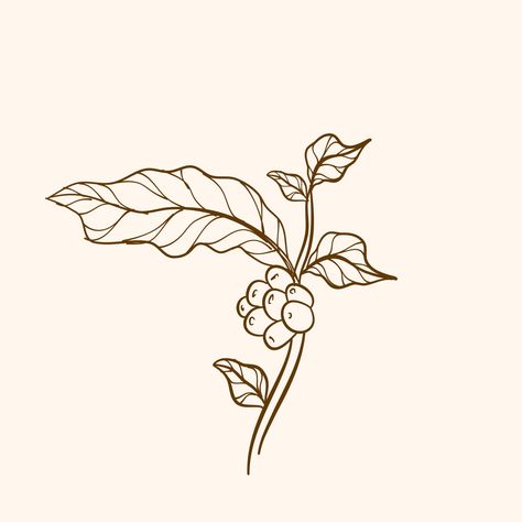 Download the Coffee plant branch with leaf. Hand drawn coffee branch. Engraved coffee bean and plant. Hand drawn vintage branches with leaves and branch. 7630695 royalty-free Vector from Vecteezy for your project and explore over a million other vectors, icons and clipart graphics! Coffee Plant Illustration, Coffee Bean Tree, Branches With Leaves, Coffee Poster Design, Bubble Tea Boba, Coffee Icon, Coffee Tattoos, Coffee Vector, Coffee Drawing