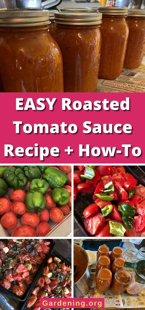 Green Pepper Sauce, Roasted Tomato Pasta, Oven Roasted Tomatoes, Roasted Tomato Sauce, Home Canning Recipes, Fresh Tomato Sauce, Tomato Pasta Sauce, How To Peel Tomatoes, Tomato Sauce Recipe