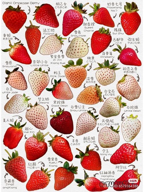 캐릭터 드로잉, Strawberry Fields, Dreamy Art, Strawberry Shortcake, Cute Food, Aesthetic Food, Wall Collage, Art Digital, Junk Journal