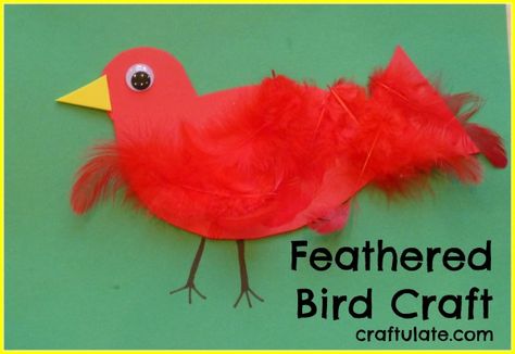 We made this easy feathered bird craft from craft foam, feathers and googly eyes. Perfect for young children. Bird Crafts For Kids, Bird Crafts Preschool, Bird Craft, Bird Mask, Easy Toddler Crafts, Easy Bird, Red Crafts, Bird Crafts, Feather Crafts