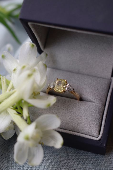 Video Yellow stones are definitely having their moment! Gorgeous yellow cushion diamond flanked with heart shaped diamonds either sides 💛 #SophieBreitmeyer #oneofakind #readytowear #rtw #RTW #Modernfamilyjeweller #Sbwedding #SBcelebration #BritishDesign #Sbspotlight #finejewellery #finejewelery #engagementring #SBengagement #SophieBreitmeyer #bespoke 2025 Wishlist, Kelsey Anderson, Pretty Engagement Rings, Yellow Diamond Ring, Yellow Cushion, Ring Inspiration, Ring Inspo, Cute Engagement Rings, White Bride