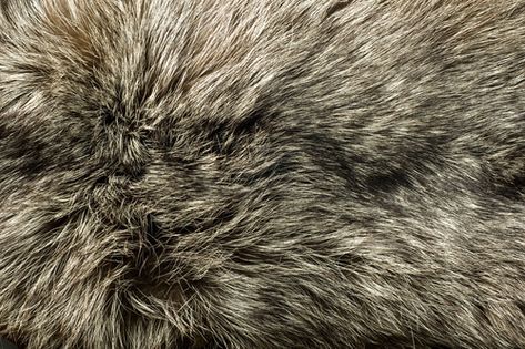 Dutch fur farm ban must go back to court, advocate general says Texture Drawing Reference, Sirius Black Aesthetic, One Piece Aesthetic, House Of Anubis, The Haunting Of Hill House, Haunting Of Hill House, Hart Of Dixie, Texture Drawing, Tall Tales